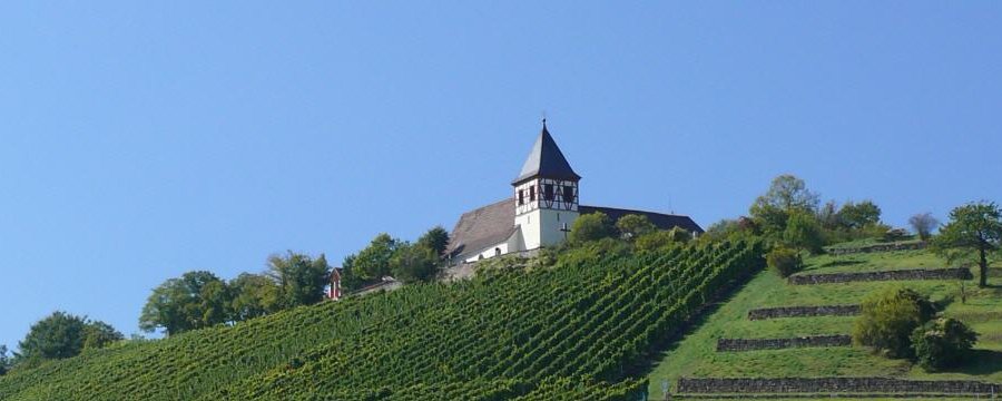 Den Blick schweifen lassen